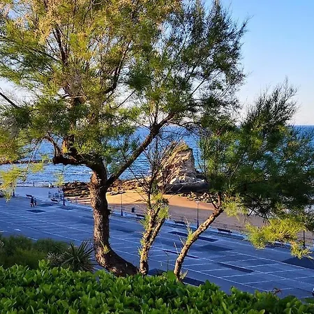 Gran Terraza Privada, Luminoso Y Tranquilo Con Wifi 아파트 *