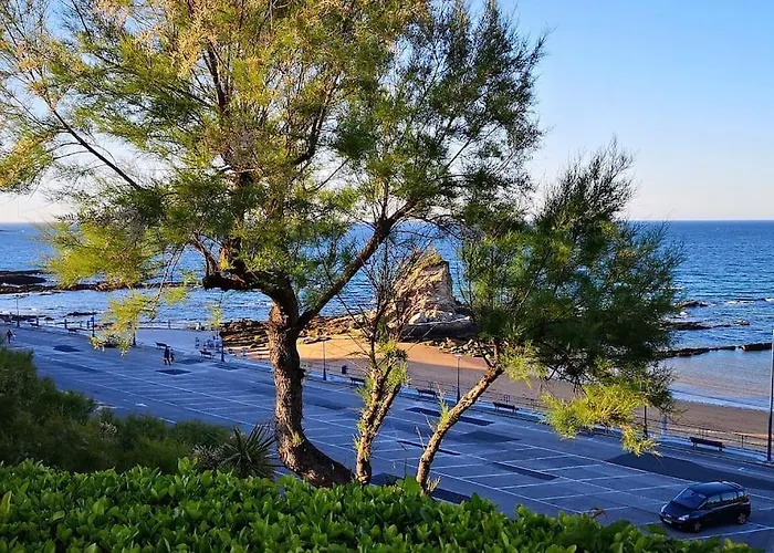 Gran Terraza Privada, Luminoso Y Tranquilo Con Wifi Apartment *
